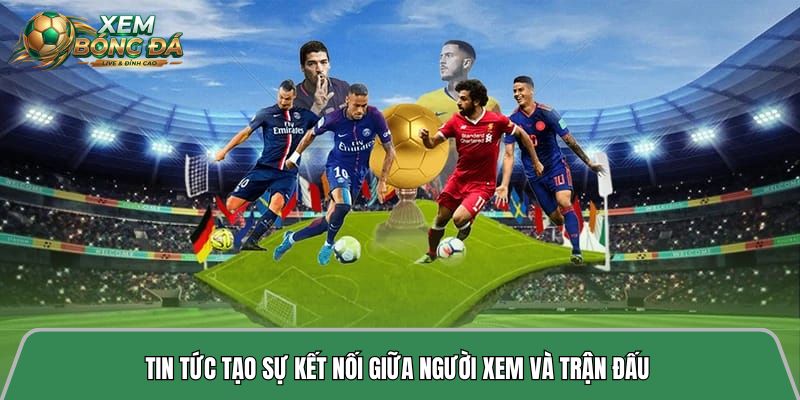 Tin tức tạo sự kết nối giữa người xem và trận đấu 
